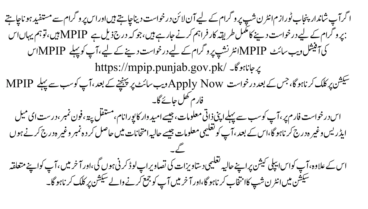 How to Apply Online for CM Magnificent Punjab Tourism Internship Program 2025